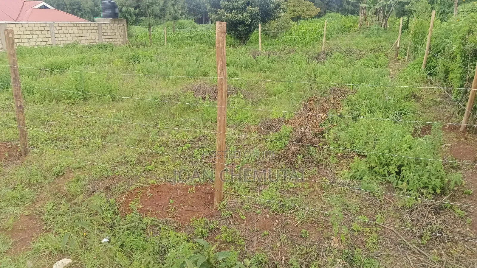 50 by 100 Plot