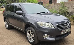 Toyota Vanguard 2010 Gray