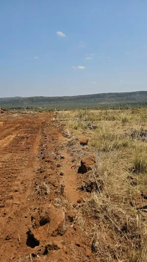Nachu, Kikuyu Plots