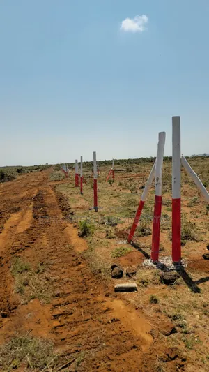 Nachu, Kikuyu Plots