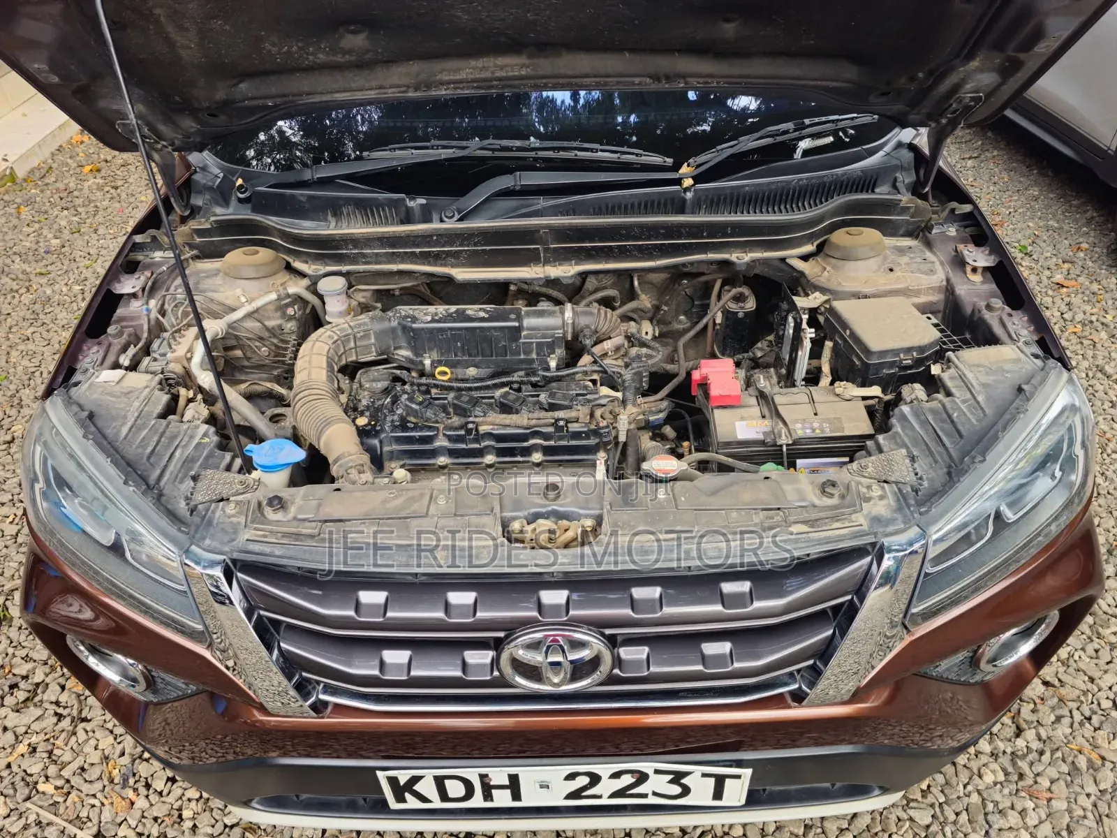 Toyota Urban Cruiser 2021 Brown