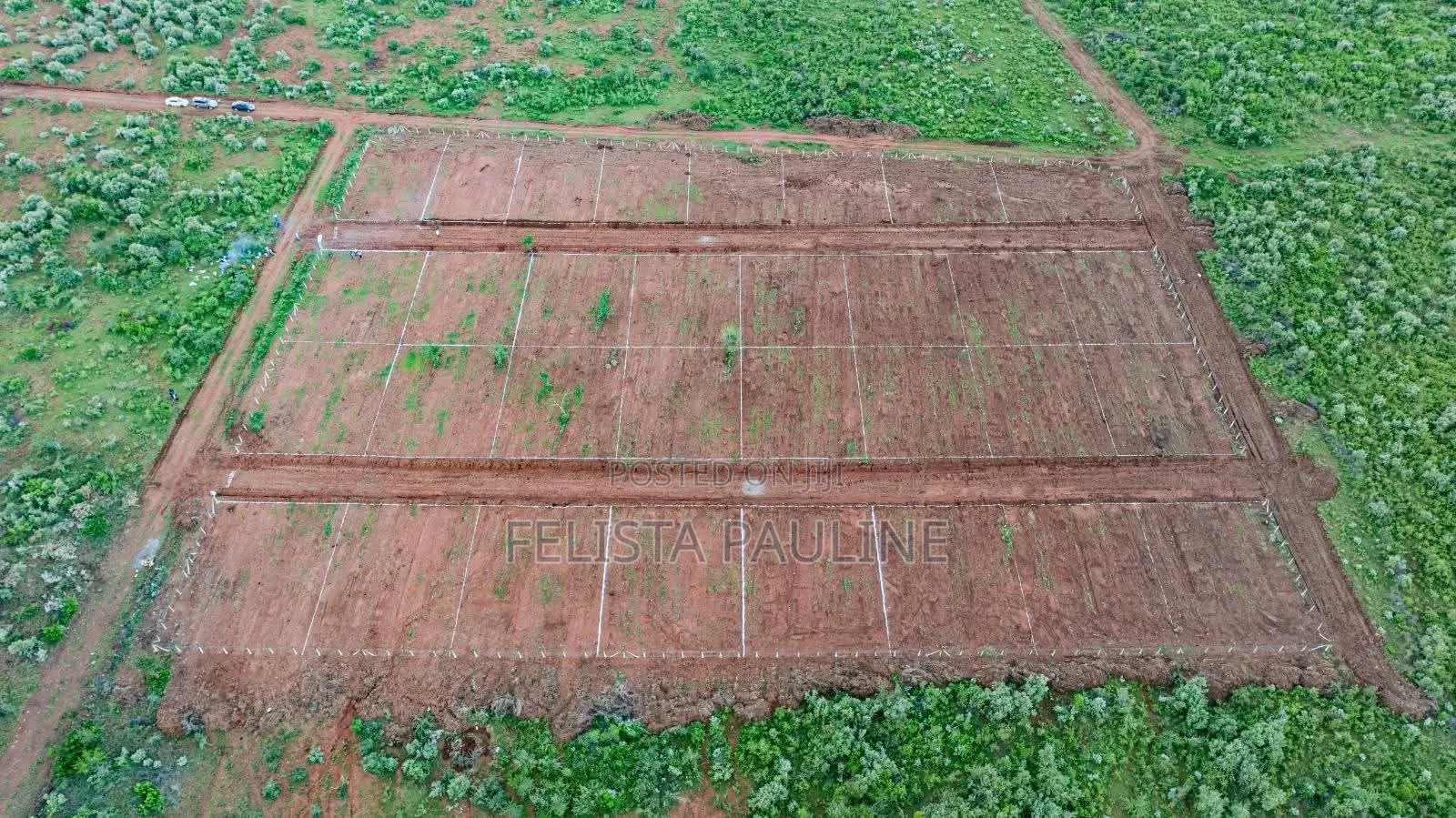  50x100 Plot for Sale at Nachu Mikuyuni – Only KSh 430,000!