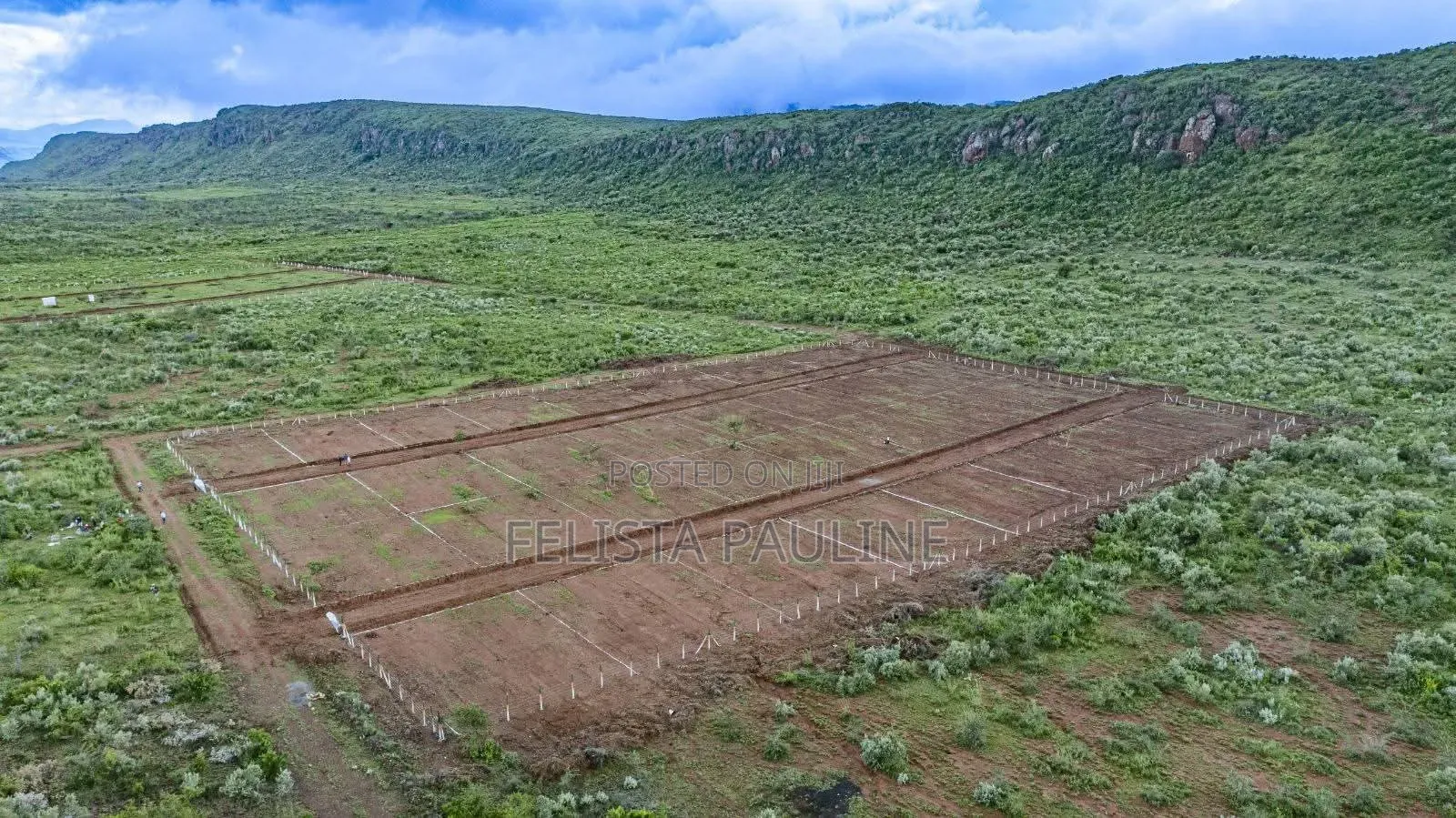  50x100 Plot for Sale at Nachu Mikuyuni – Only KSh 430,000!