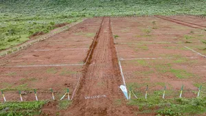  50x100 Plot for Sale at Nachu Mikuyuni – Only KSh 430,000!