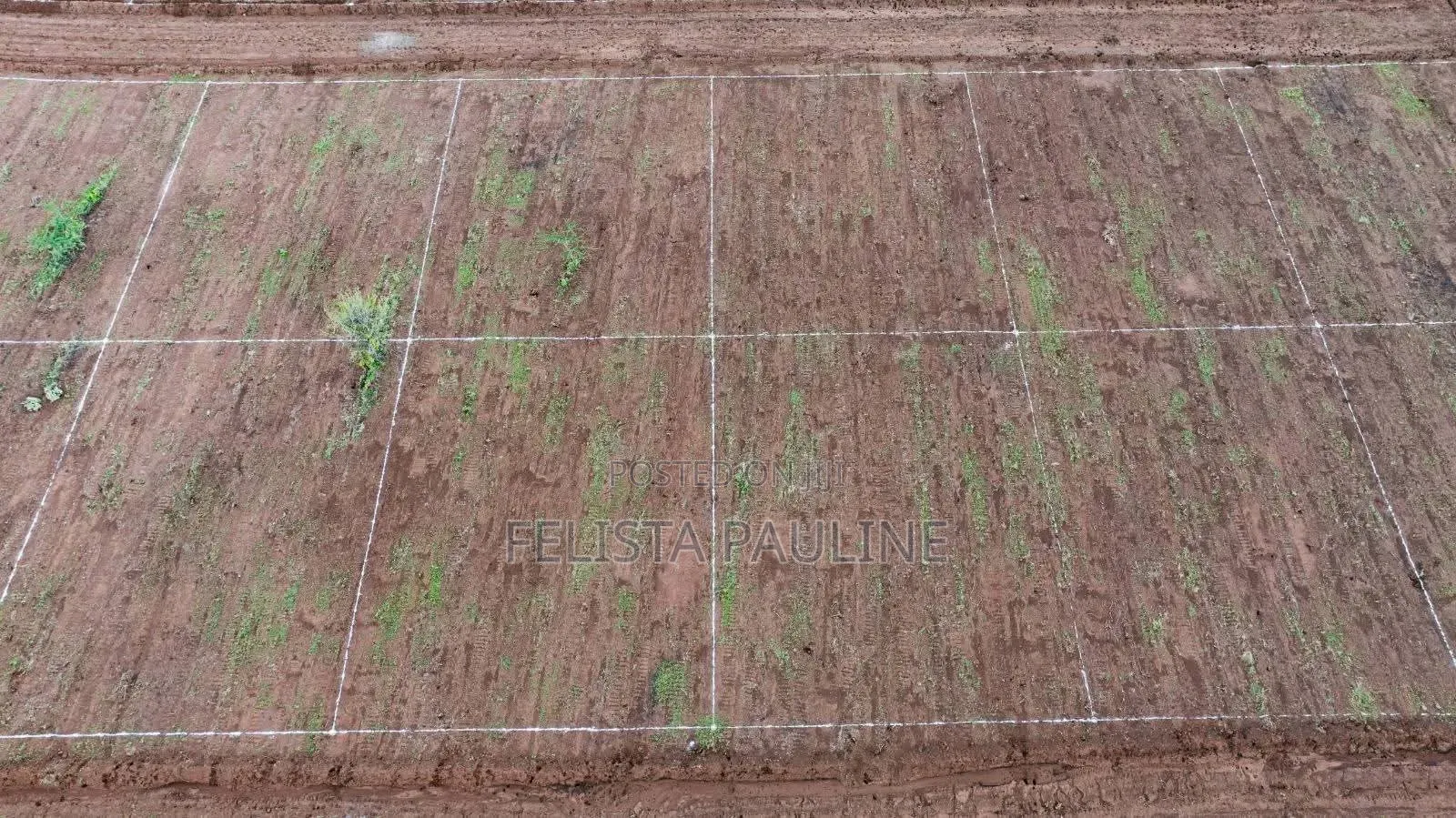  50x100 Plot for Sale at Nachu Mikuyuni – Only KSh 430,000!