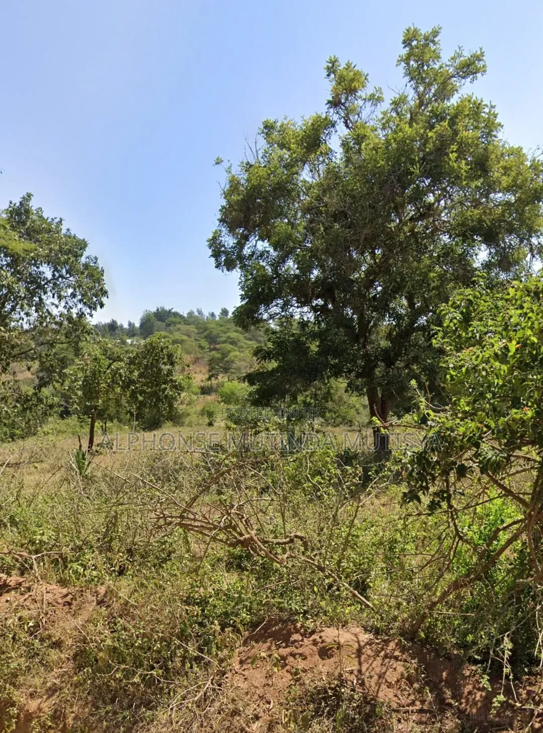 Plot for Sale