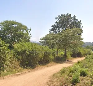 Plot for Sale