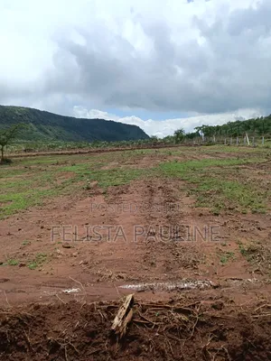  50x100 Plot for Sale at Nachu Mikuyuni – Only KSh 430,000!