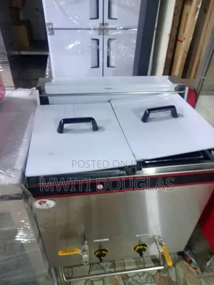 Imported Gas Double Fryer