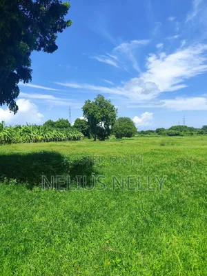 Mnarani Kilifi 1/8 Acre Plots