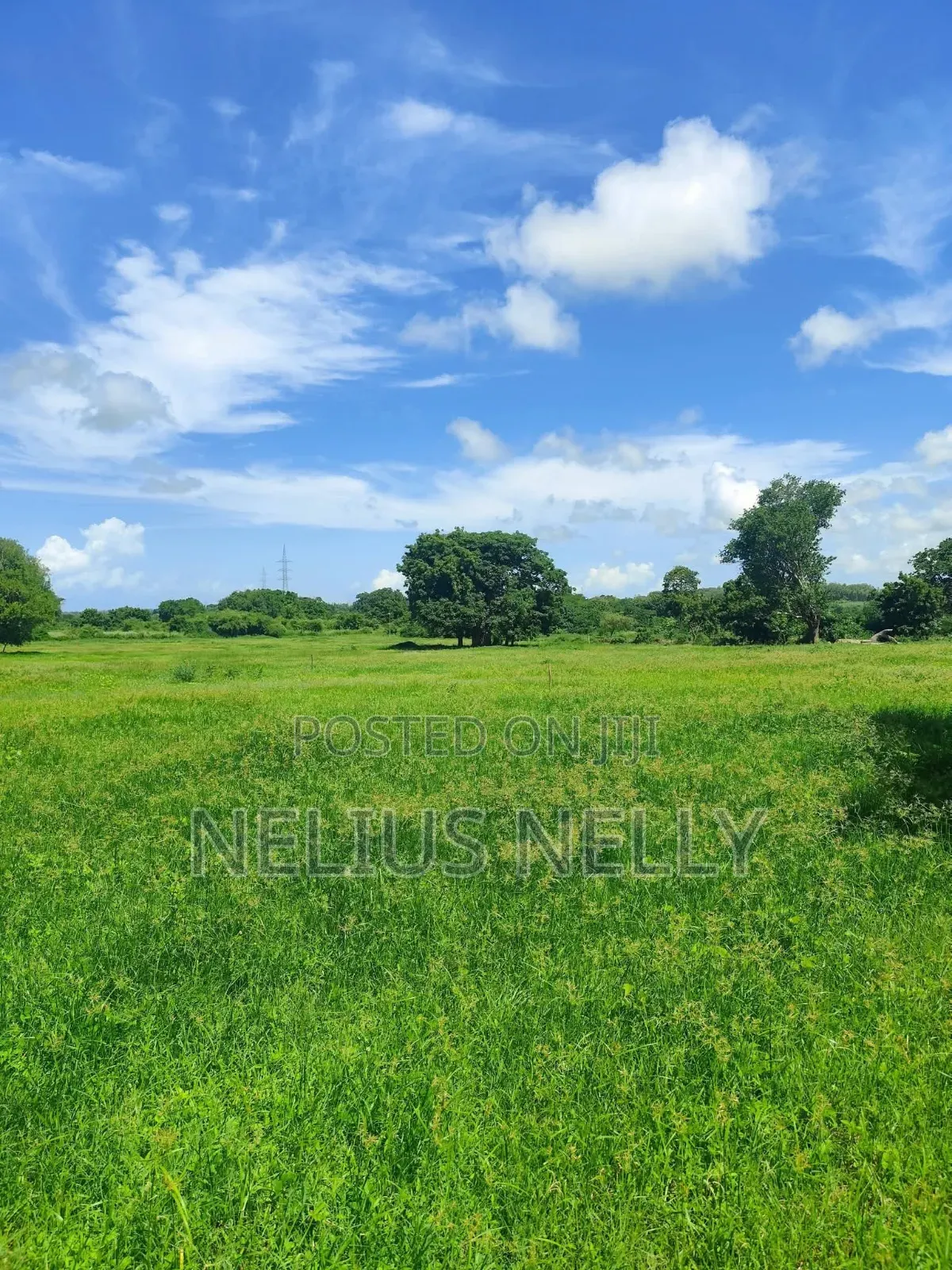 Mnarani Kilifi 1/8 Acre Plots