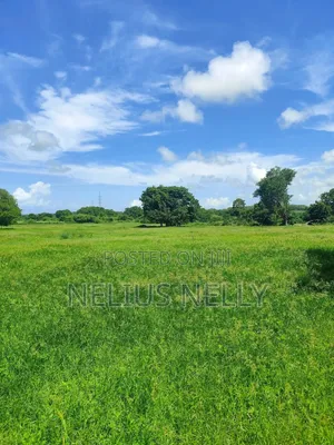 Mnarani Kilifi 1/8 Acre Plots