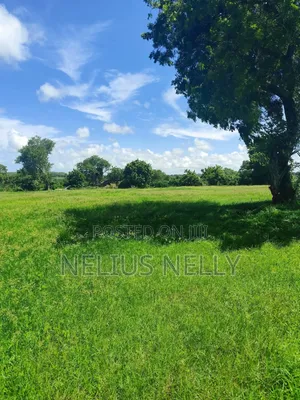 Mnarani Kilifi 1/8 Acre Plots
