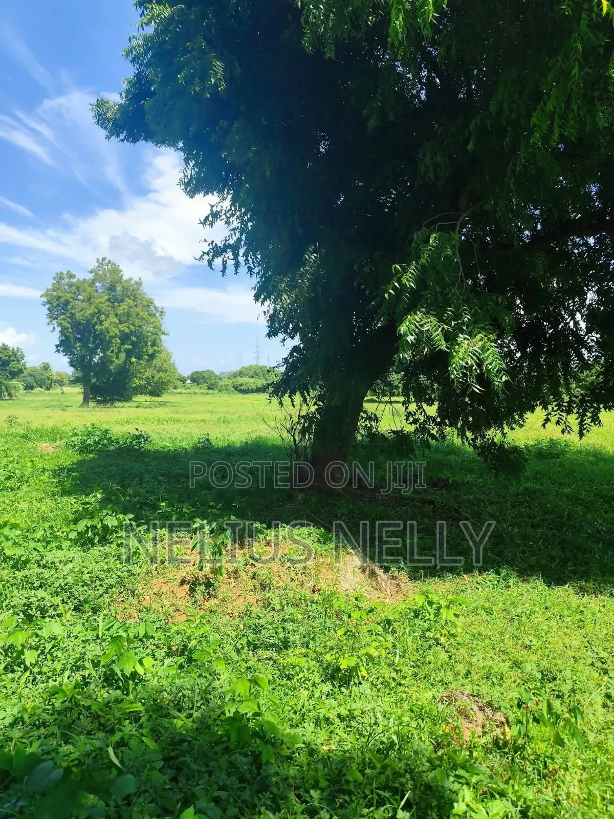 Mnarani Kilifi 1/8 Acre Plots