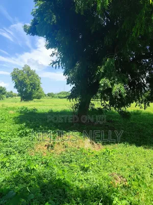 Mnarani Kilifi 1/8 Acre Plots