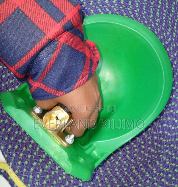 Automatic Water Bowl for Goat