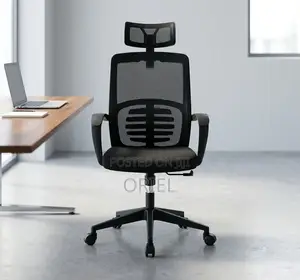 Office Chair : Black Mesh Ergonomic Chair