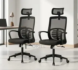 Office Chair : Black Mesh Ergonomic Chair