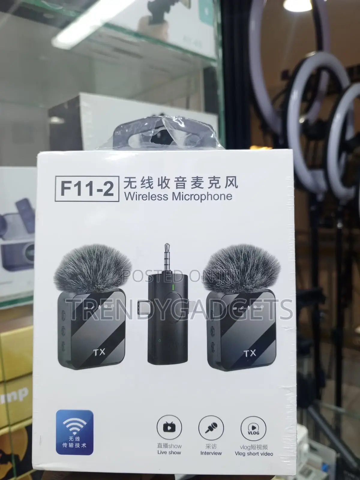 F11-2 Professional Wireless Audio System With Dual Mics
