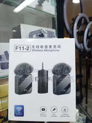 F11-2 Professional Wireless Audio System With Dual Mics
