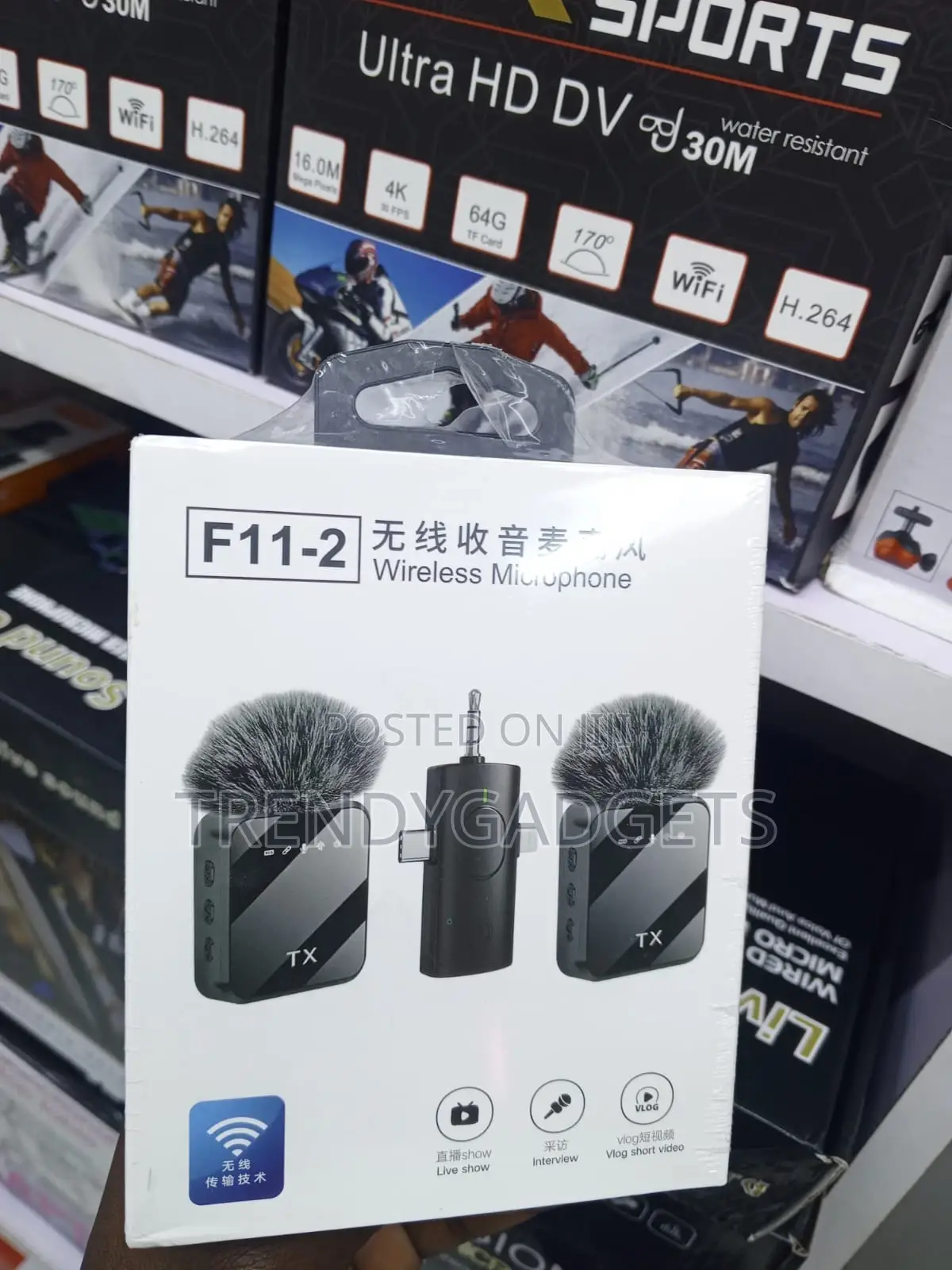 F11-2 Professional Wireless Audio System With Dual Mics