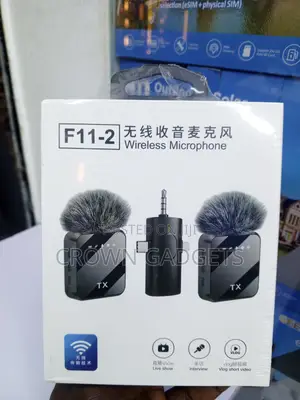 F11-2 Professional Wireless Audio System With Dual Mics
