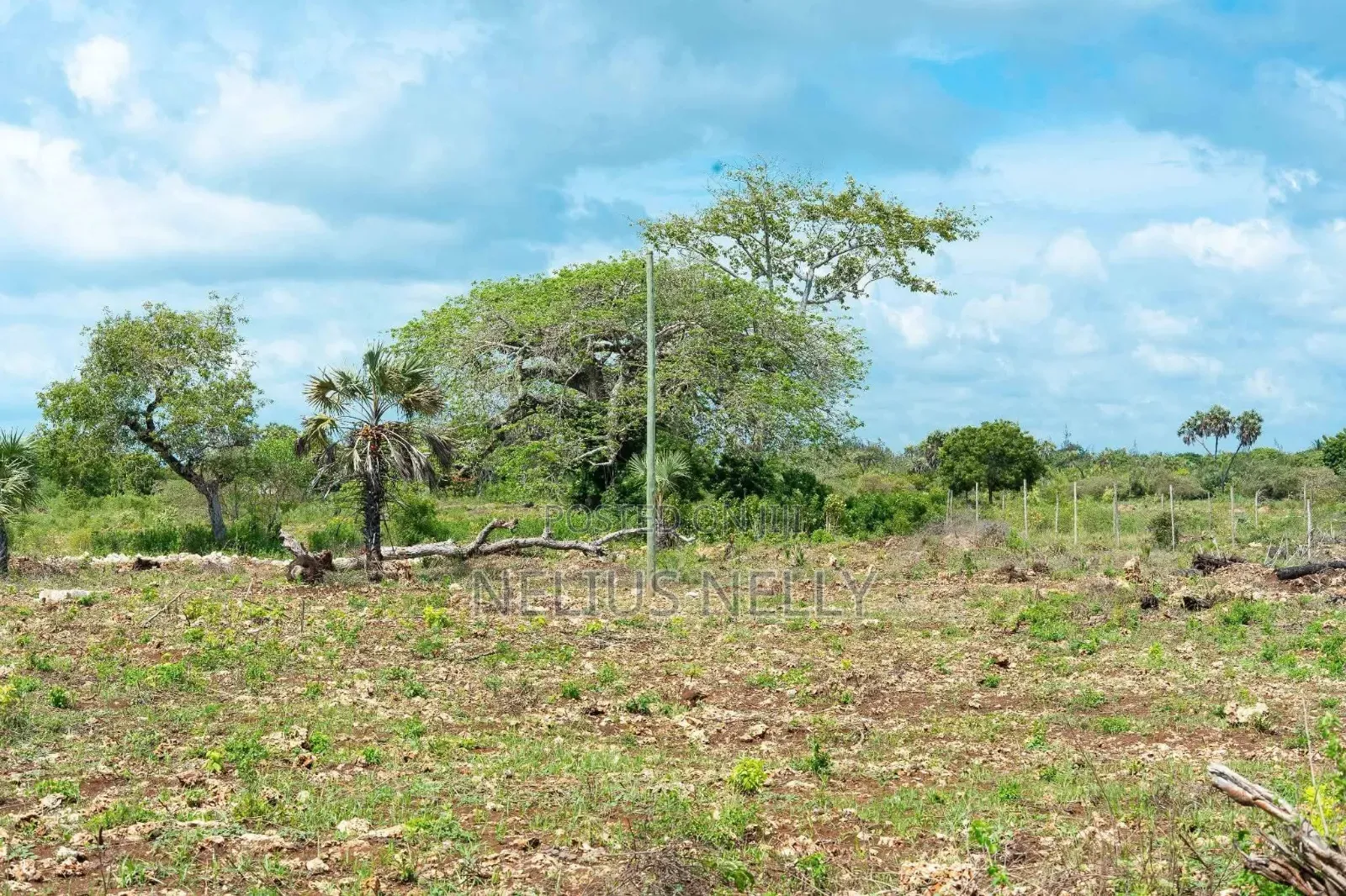 Diani, Galu Near Neptune Beach Resort 1/8 Acre Plots