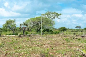 Diani, Galu Near Neptune Beach Resort 1/8 Acre Plots