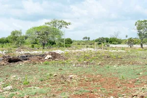 Diani, Galu Near Neptune Beach Resort 1/8 Acre Plots