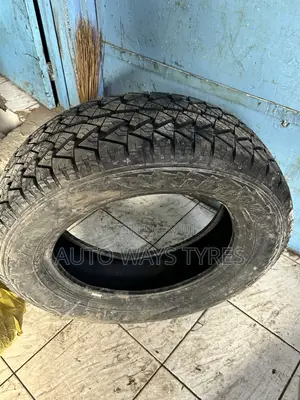 225/65r17 Petromax