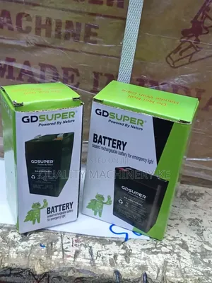 High Quality Acs and TCS Weighing Scale Batteries