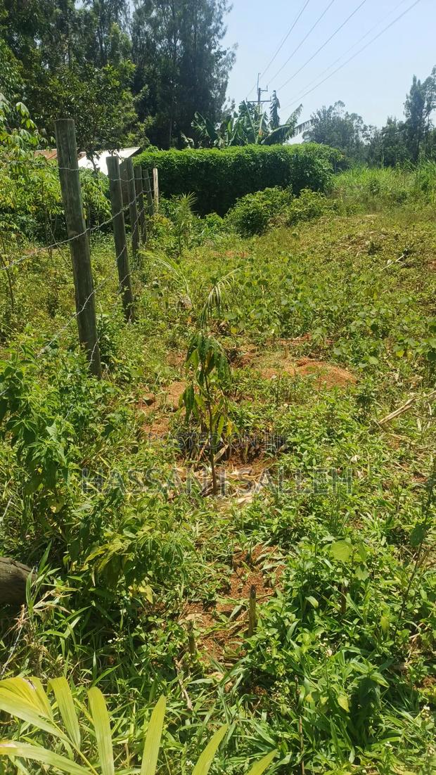 60 X100fts PLOT EKERO. - thumbnail 2