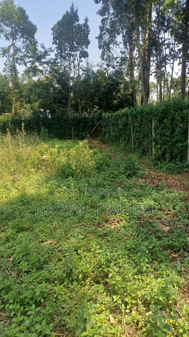 60 X100fts PLOT EKERO. - thumbnail 3