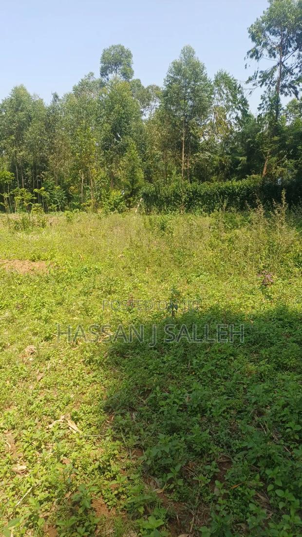 60 X100fts PLOT EKERO. - thumbnail 4
