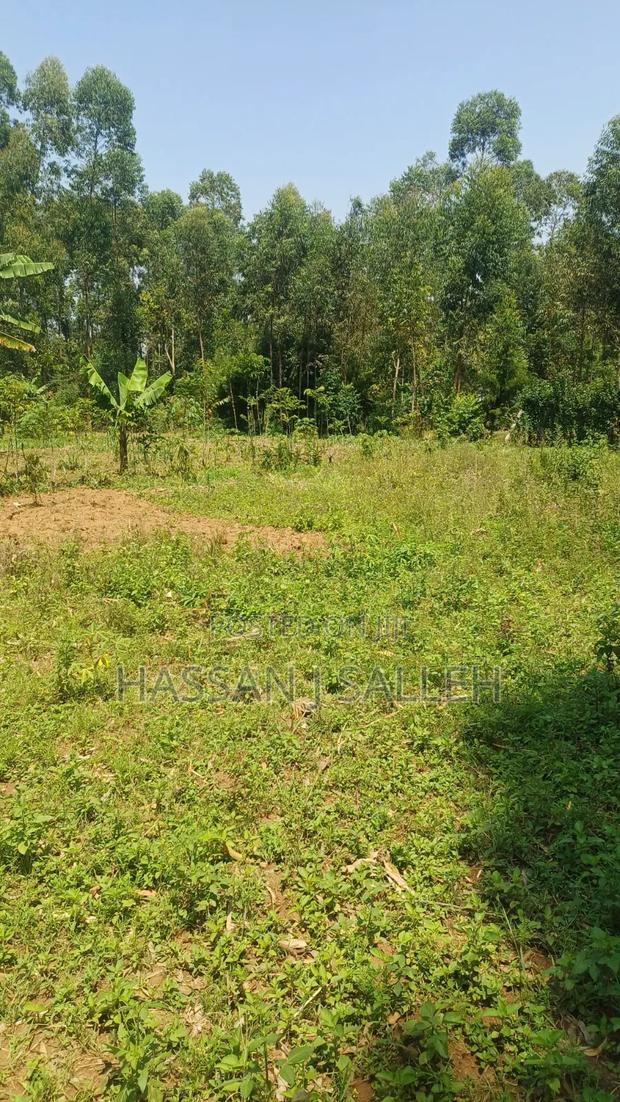 60 X100fts PLOT EKERO. - thumbnail 5
