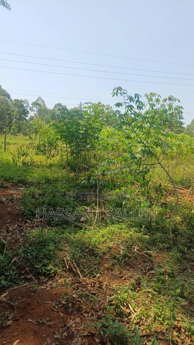 60 X100fts PLOT EKERO. - thumbnail 6