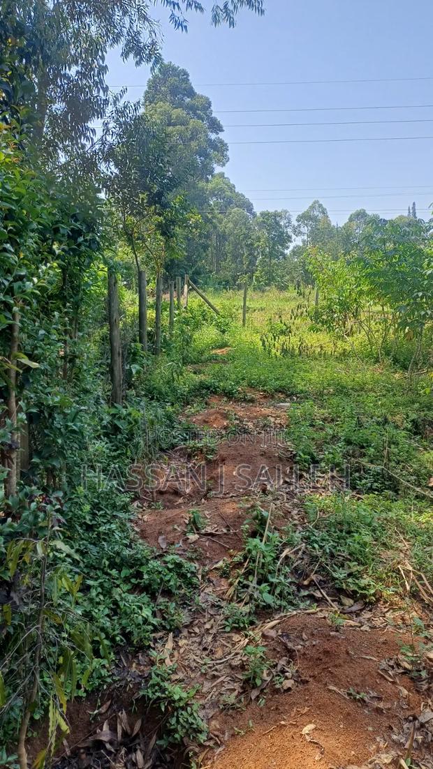 60 X100fts PLOT EKERO. - thumbnail 7