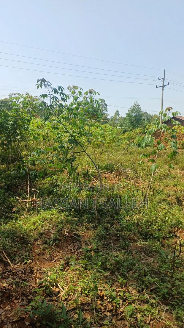 60 X100fts PLOT EKERO. - thumbnail 8