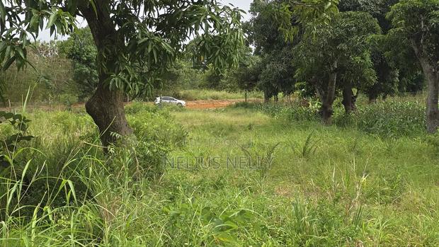 Mtwapa Residential Plots for Sale 1/8 Acre