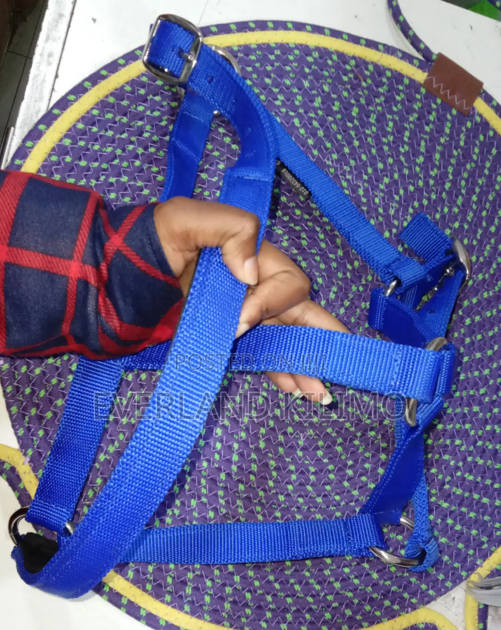 Blue Nylon Horse Halter
