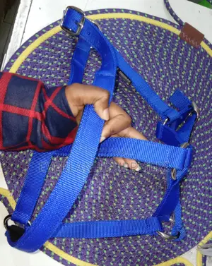 Blue Nylon Horse Halter
