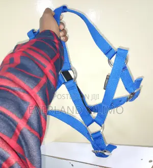 Adjustable Halter for Cows