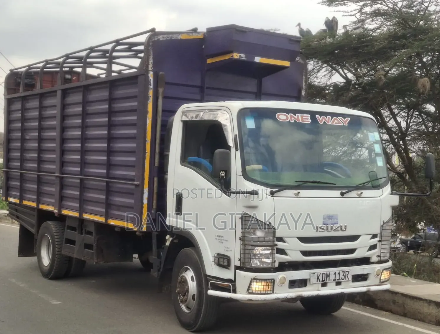 Isuzu NQR 2022 White