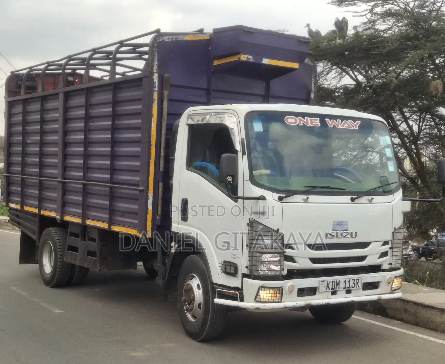 Isuzu NQR 2022 White