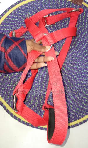 Nylon Horse Halter, Red