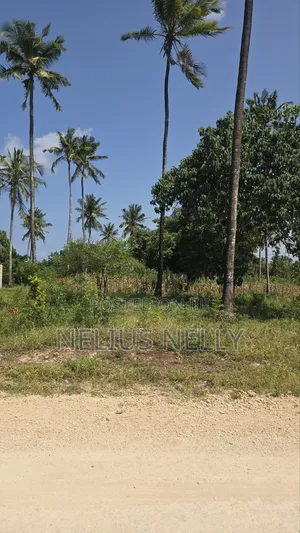 2 Acres Tezo Kakanjuni Road Kilifi