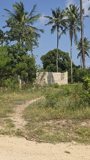 2 Acres Tezo Kakanjuni Road Kilifi