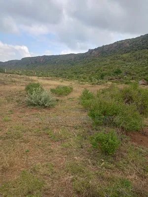 Most Affordable Plots in Nachu, Kikuyu