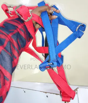 Wear Resistant Cow Halter