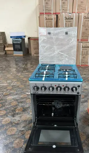 Silver Olelon Standing Cooker